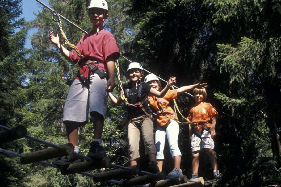 Promenez-vous dans les arbres: l'accrobranche