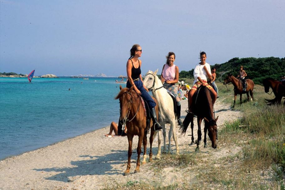Promenez-vous à cheval sur les plus belles plages
