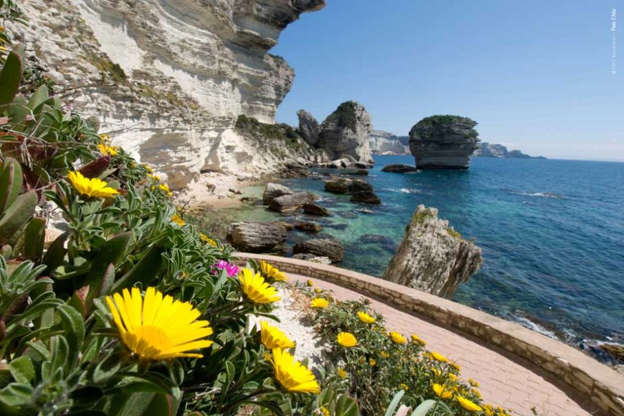 Promenez-vous au pied des falaises calcaires 