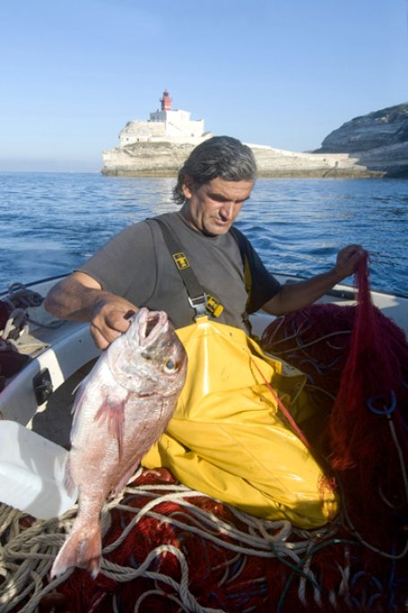 Accompagnez les pêcheurs de Bonifacio 